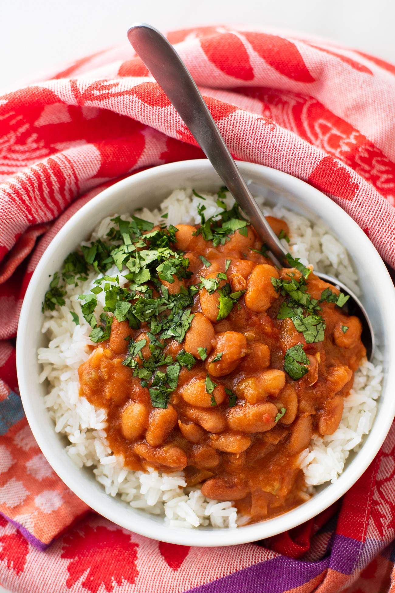 Instant Pot Mexican Pinto Beans Recipe - Easy Mexican pinto beans taste wonderful over rice!