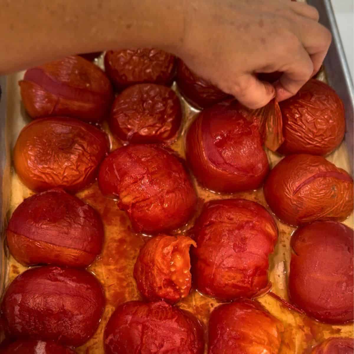 peeling skin off tomatoes before putting them into jars and canning them